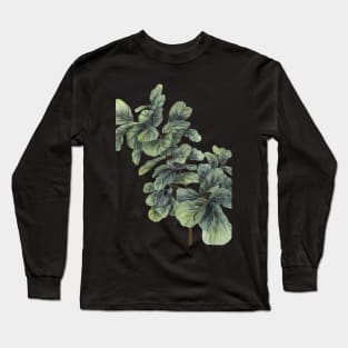 Fiddle Leaf Fig Tree Long Sleeve T-Shirt